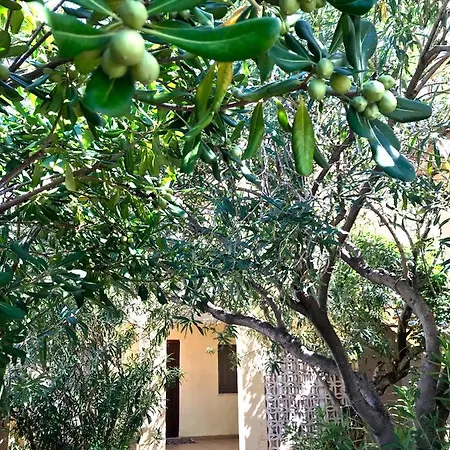 Ventana Tranquila Al Mediterraneo . Apartment Denia